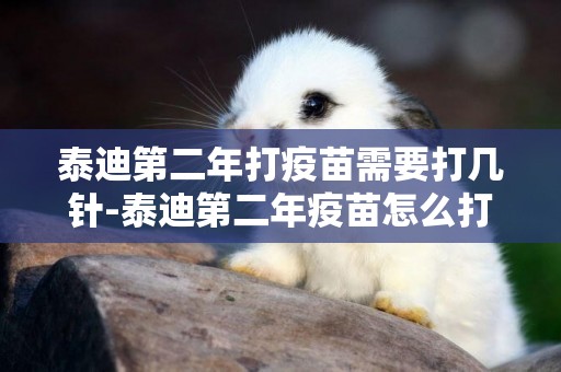 泰迪第二年打疫苗需要打幾針-泰迪第二年疫苗怎么打