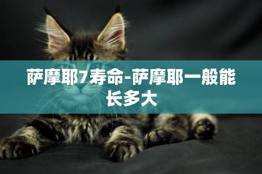 薩摩耶7壽命-薩摩耶一般能長多大