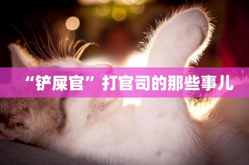“鏟屎官”打官司的那些事兒 