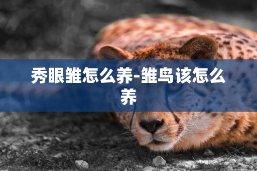 秀眼雛怎么養-雛鳥該怎么養