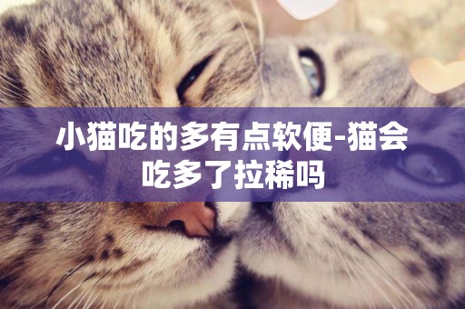 小貓吃的多有點軟便-貓會吃多了拉稀嗎