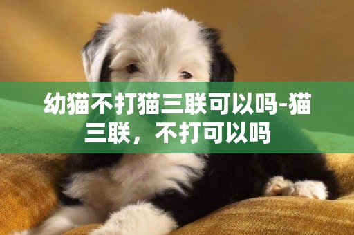 幼貓不打貓三聯可以嗎-貓三聯，不打可以嗎
