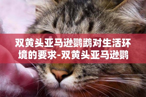 雙黃頭亞馬遜鸚鵡對生活環境的要求-雙黃頭亞馬遜鸚鵡的生活習性