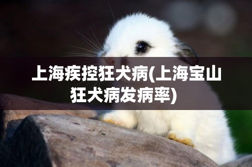 上海疾控狂犬病(上海寶山狂犬病發病率) 