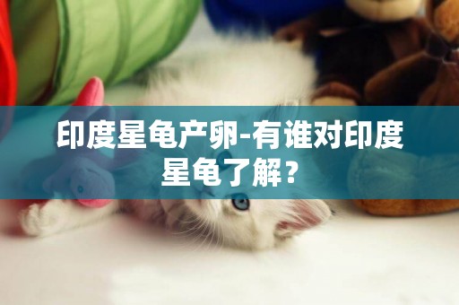 印度星龜產卵-有誰對印度星龜了解？