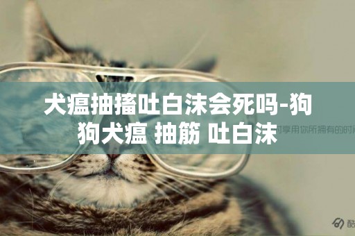 犬瘟抽搐吐白沫會死嗎-狗狗犬瘟 抽筋 吐白沫