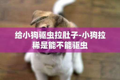 給小狗驅蟲拉肚子-小狗拉稀是能不能驅蟲