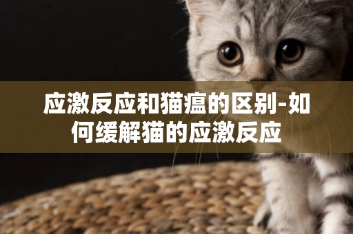 應激反應和貓瘟的區別-如何緩解貓的應激反應