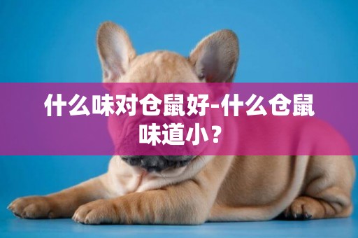 什么味對倉鼠好-什么倉鼠味道小？
