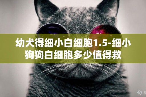 幼犬得細小白細胞1.5-細小狗狗白細胞多少值得救