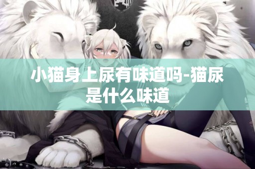 小貓身上尿有味道嗎-貓尿是什么味道