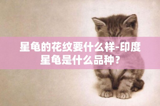 星龜的花紋要什么樣-印度星龜是什么品種？