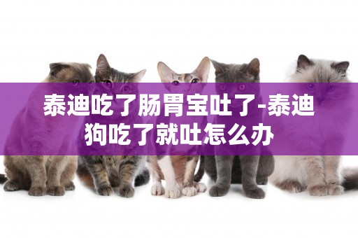 泰迪吃了腸胃寶吐了-泰迪狗吃了就吐怎么辦