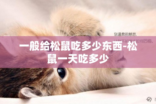 一般給松鼠吃多少東西-松鼠一天吃多少