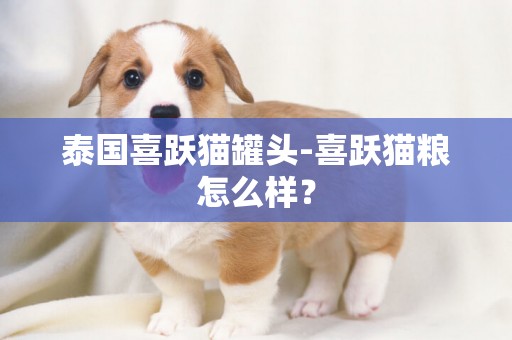 泰國喜躍貓罐頭-喜躍貓糧怎么樣？