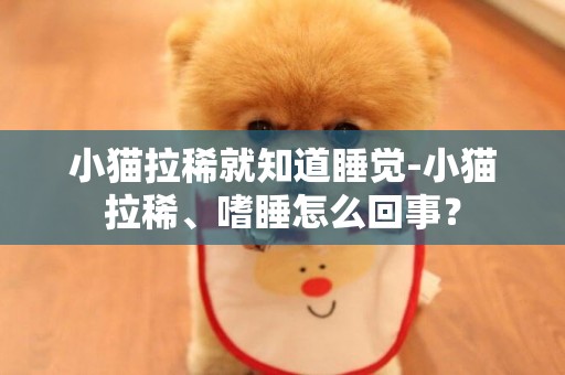 小貓拉稀就知道睡覺-小貓拉稀、嗜睡怎么回事？
