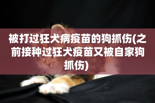 被打過狂犬病疫苗的狗抓傷(之前接種過狂犬疫苗又被自家狗抓傷) 