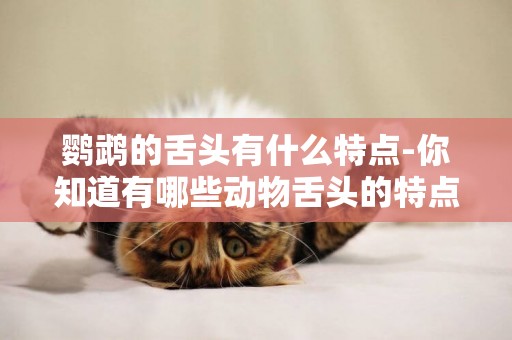 鸚鵡的舌頭有什么特點-你知道有哪些動物舌頭的特點