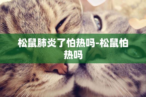 松鼠肺炎了怕熱嗎-松鼠怕熱嗎
