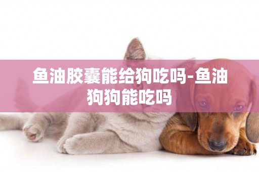 魚油膠囊能給狗吃嗎-魚油狗狗能吃嗎