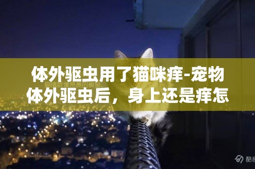 體外驅蟲用了貓咪癢-寵物體外驅蟲后，身上還是癢怎么辦