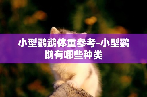 小型鸚鵡體重參考-小型鸚鵡有哪些種類