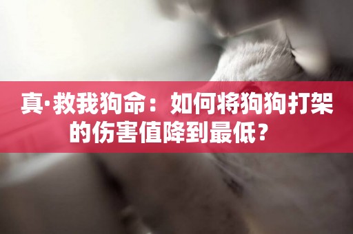 真·救我狗命：如何將狗狗打架的傷害值降到最低？ 