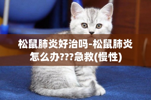 松鼠肺炎好治嗎-松鼠肺炎怎么辦???急救(慢性)