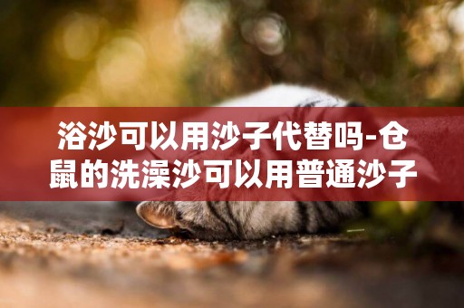 浴沙可以用沙子代替嗎-倉鼠的洗澡沙可以用普通沙子代替嗎？