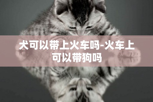 犬可以帶上火車嗎-火車上可以帶狗嗎