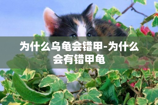 為什么烏龜會錯甲-為什么會有錯甲龜