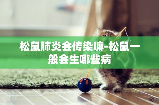 松鼠肺炎會傳染嘛-松鼠一般會生哪些病