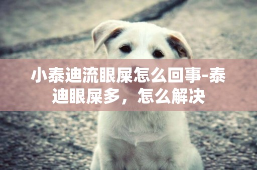 小泰迪流眼屎怎么回事-泰迪眼屎多，怎么解決