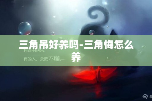 三角吊好養嗎-三角悔怎么養