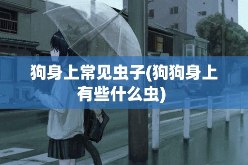 狗身上常見蟲子(狗狗身上有些什么蟲) 