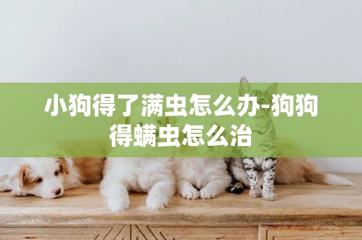 小狗得了滿蟲怎么辦-狗狗得螨蟲怎么治