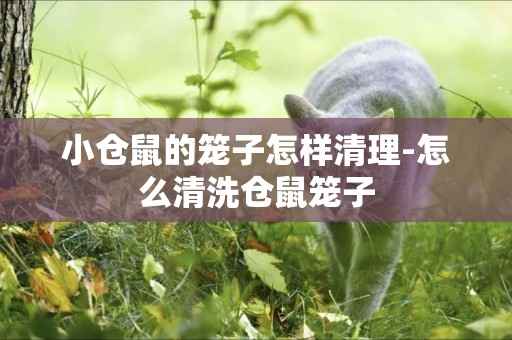 小倉鼠的籠子怎樣清理-怎么清洗倉鼠籠子