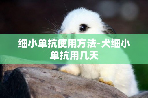 細小單抗使用方法-犬細小單抗用幾天