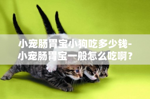 小寵腸胃寶小狗吃多少錢-小寵腸胃寶一般怎么吃啊？