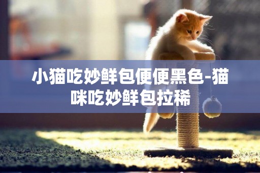 小貓吃妙鮮包便便黑色-貓咪吃妙鮮包拉稀
