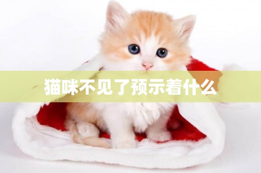 貓咪不見了預示著什么