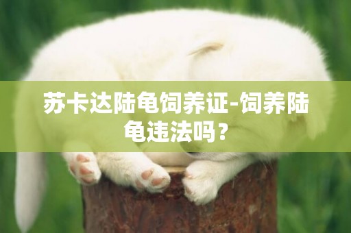 蘇卡達陸龜飼養證-飼養陸龜違法嗎？
