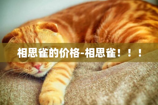 相思雀的價格-相思雀！！！