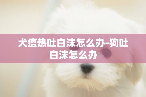 犬瘟熱吐白沫怎么辦-狗吐白沫怎么辦