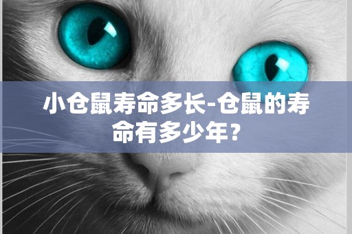 小倉鼠壽命多長-倉鼠的壽命有多少年？