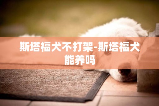 斯塔福犬不打架-斯塔福犬能養嗎