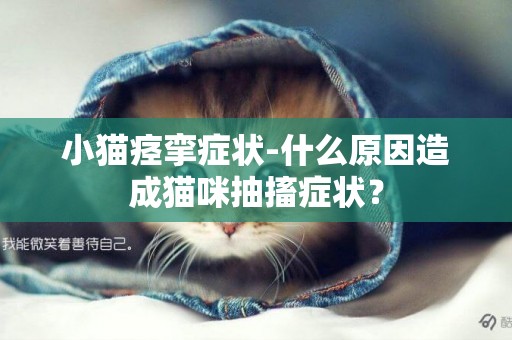 小貓痙攣癥狀-什么原因造成貓咪抽搐癥狀？