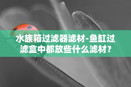 水族箱過濾器濾材-魚缸過濾盒中都放些什么濾材？