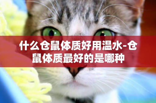 什么倉鼠體質好用溫水-倉鼠體質最好的是哪種