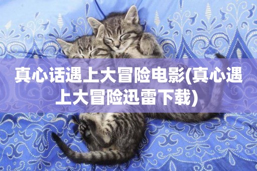 真心話遇上大冒險電影(真心遇上大冒險迅雷下載) 
